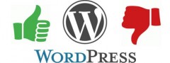 wordpress pros and cons marketplace